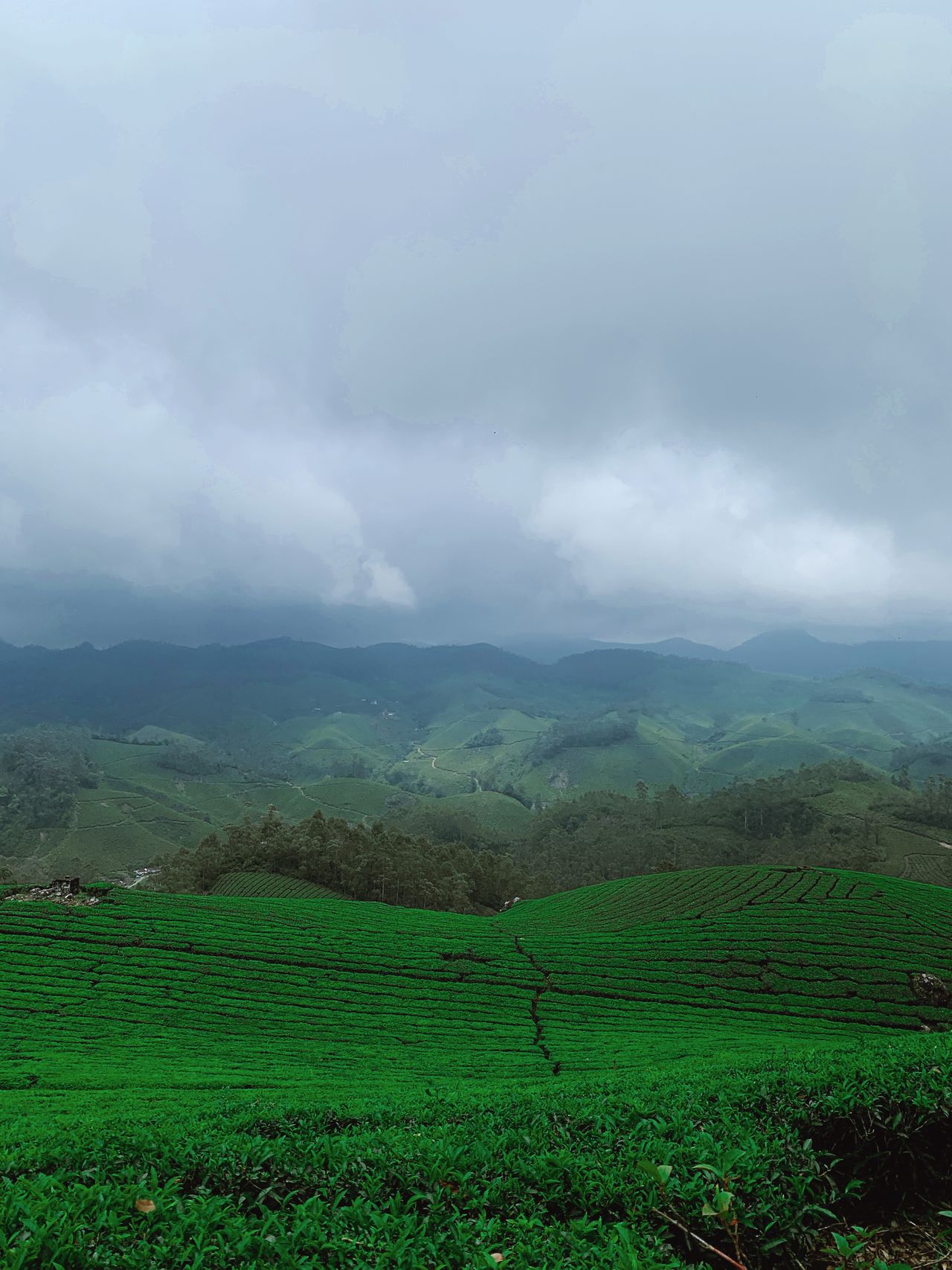 Munnar